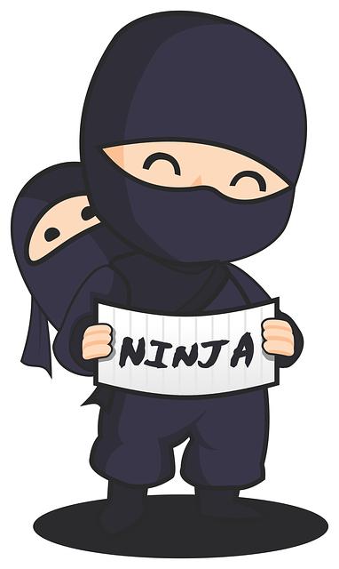 2. Prozkoumejte klíčové prvky Ninja půjčky a co vás čeká při žádosti